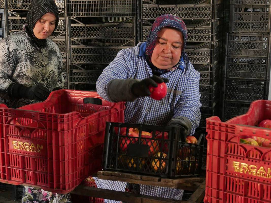 Neye niyet, neye kısmet: İlçenin ekonomisini ayağa kaldırdı! Yüksek gelir elde ediyorlar, kapış kapış satılıyor 14